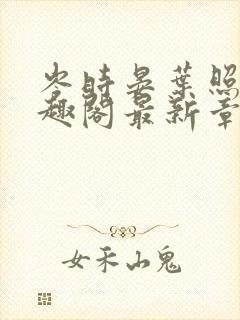 岑时晏叶照绵笔趣阁最新章节列表