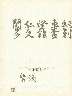 闯红灯车辆违章多久能查到