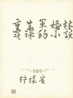 重生军婚林夕顾霆琛的小说