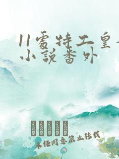 11处特工皇妃小说番外