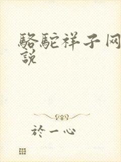 骆驼祥子网络小说