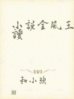 小说金风玉露阅读