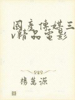 国产传媒三级av精品电影