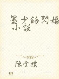 墨少的闪婚秘爱 小说