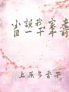 小说我家老婆来自一千年前txt