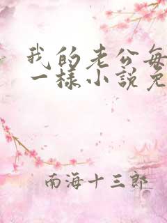 我的老公每天不一样小说免费阅读