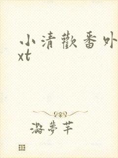 小清欢番外篇txt