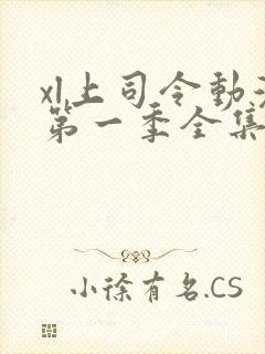 xl上司令动漫第一季全集在线观看免费播放