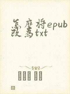 怎么将epub改为txt