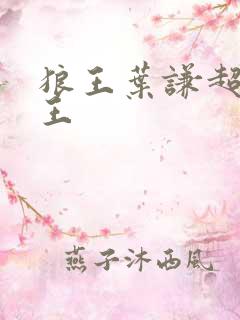 狼王叶谦超级兵王