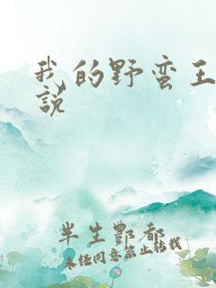 我的野蛮王妃小说