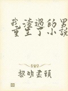 我渣过的男主都重生了小说