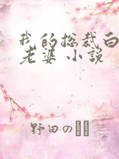 我的总裁白富美老婆 小说