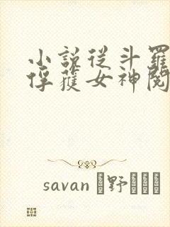 小说从斗罗开始俘获女神阅读