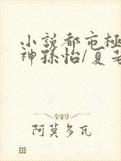 小说都市极品医神孙怡/夏若雪最新章节下载