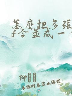 怎么把多张pdf合并成一个