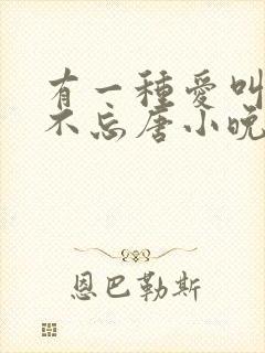 有一种爱叫念念不忘唐小晚