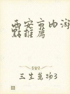 西安市内游玩景点推荐