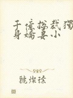 千亿总裁独宠替身娇妻小