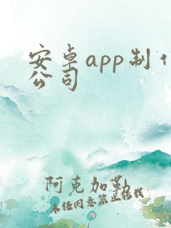 安卓app制作公司