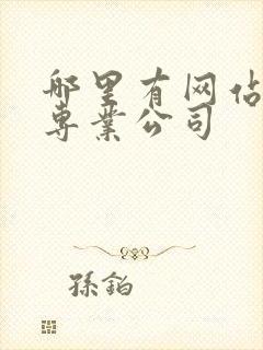 哪里有网站建设专业公司