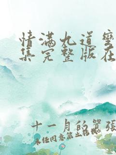 情满九道弯40集完整版在线看