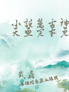 小说万古神帝飞天鱼完本免费阅读