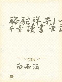 骆驼祥子1~24章读书笔记