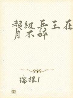 超级兵王在都市月不醉