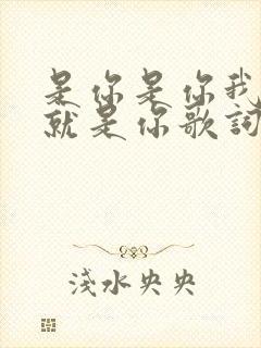 是你是你我爱的就是你歌词是什么歌