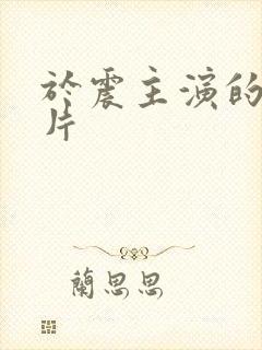 于震主演的谍战片