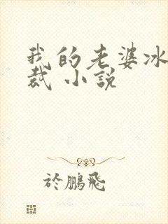 我的老婆冰山总裁 小说
