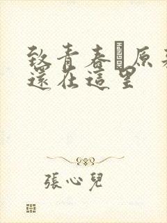 致青春·原来你还在这里