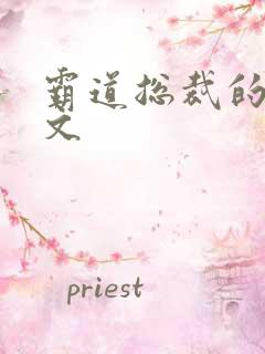 霸道总裁的甜宠文