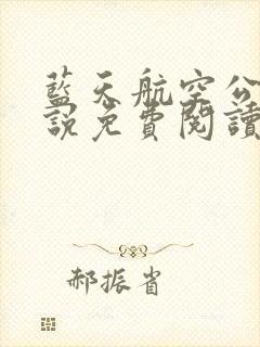 蓝天航空公司小说免费阅读