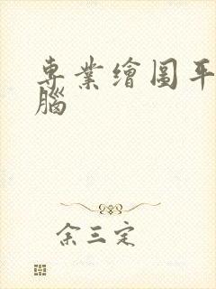 专业绘图平板电脑