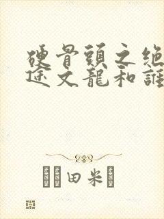 硬骨头之绝地归途文龙和谁在一起了