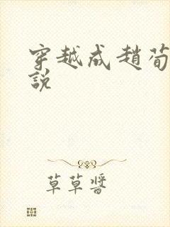 穿越成赵荀的小说