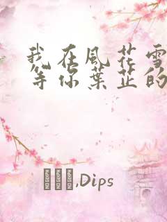 我在风花雪月里等你叶芷的孩子