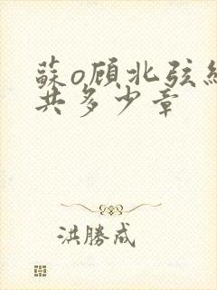 苏o顾北弦结局共多少章