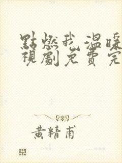 点燃我温暖你电视剧免费完整版16集