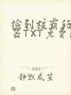 捡到校霸的遥控器TXT免费阅读