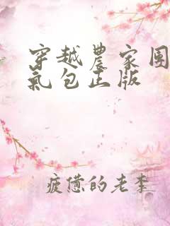 穿越农家团宠福气包正版