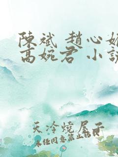 陈斌 赵心媚 高婉君 小说