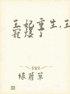 王妃重生,王爷宠爆了