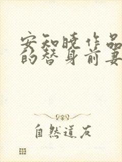 安知晓作品总裁的替身前妻