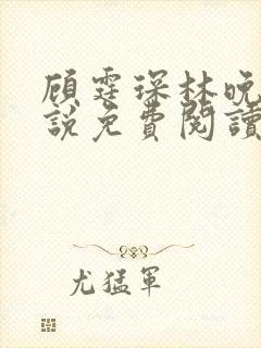 顾霆琛林晚青小说免费阅读大结局