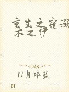 重生之宠溺男妻 木之伊