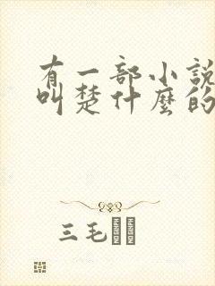 有一部小说主角叫楚什么的