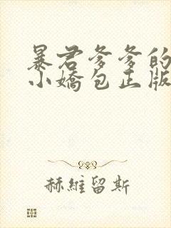 暴君爹爹的团宠小娇包正版